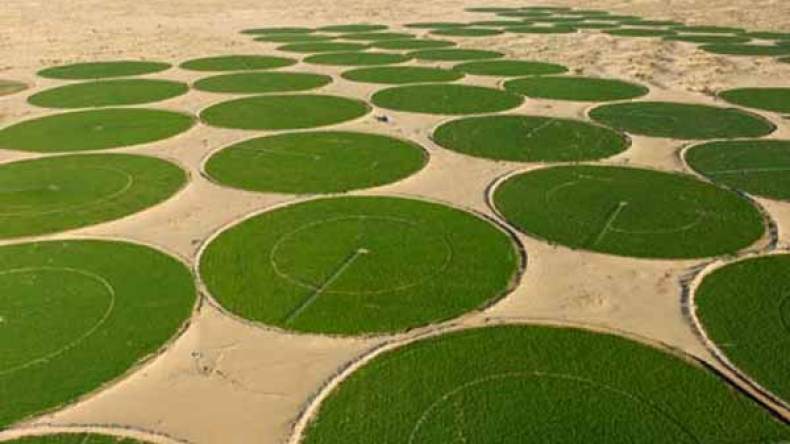 فلاحو الوادي يدقون ناقوس الخطر والمواطنون مرتاحون