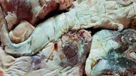 أغذية وفضلات الدواجن وراء تسمم لحوم الأضاحي