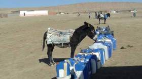 منطقة القدادحة في المدية… هنا تنتهي الحياة!