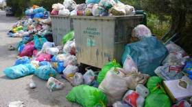 تفشي داء الليشمانيا بسبب انتشار القمامة في غرداية