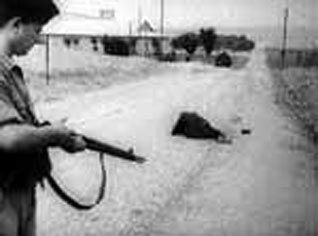 France Ambassador to Algeria: 8 Mai crimes were a historical error