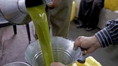 Le ministre du Commerce distingue les producteurs d’huile d’olive