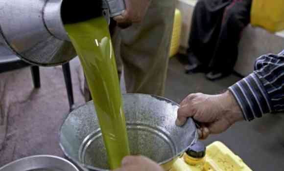 Le ministre du Commerce distingue les producteurs d’huile d’olive