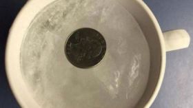 لهذا السبب عليك وضع قطعة نقدية في الثلاجة؟!