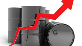 النفط يتماسك فوق 50 دولارا بعد اجتماع “أوبك”