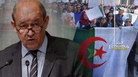 الجزائريون أثاروا إعجابنا.. والحل يكمن في الحوار الديمقراطي!
