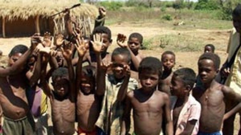 أكثر من  800 مليون شخص في العالم يعانون من الفقر