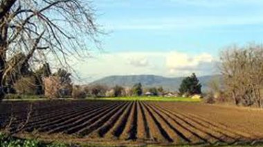 Terres du domaine privé de l’État : 153 000 dossiers déposés pour des actes de concession