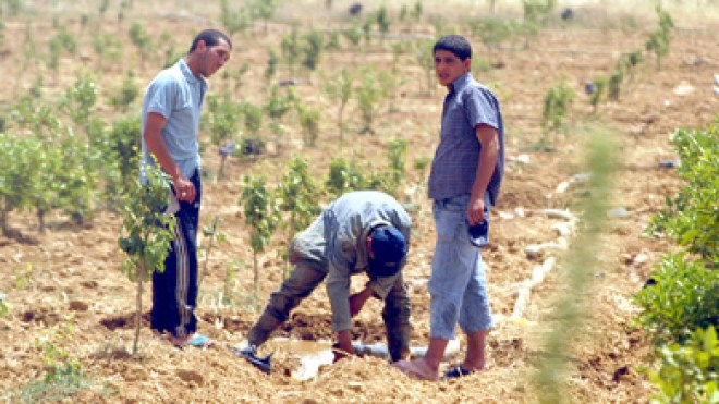 مشاريع لونساج حصريا للبالغين بين 30 و 50 سنة