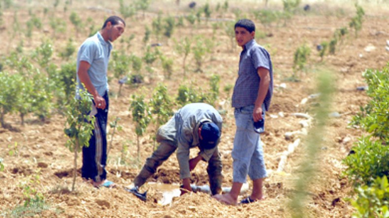 مشاريع لونساج حصريا للبالغين بين 30 و 50 سنة