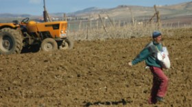 بن عيسى يجتمع اليوم بإطارات قطاع الفلاحة للشروع في تنفيذ الإصلاحات