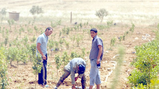 إعفاء عمال الأشغال الشاقة من العمل عند درجة حرارة 44