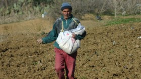 التلاعب بالمستثمرات الفلاحية يعصف بـ 17 بلدية في العاصمة