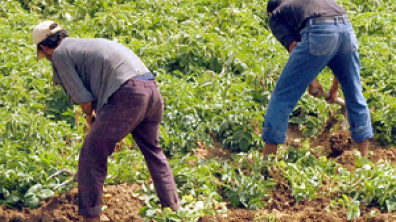 أملاك الدولة تمهل الفلاحين أسبوعا لتسديد إيجار الأراضي