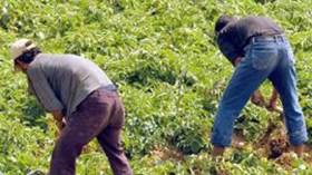 احتيال‭ ‬بعض‭ ‬الفلاحين‭ ‬في‭ ‬استعمال‭ ‬الأدوية‭ ‬البيطرية‭ ‬وراء‭ ‬العجز‭ ‬الجنسي‭ ‬لدى‭ ‬الكثير‭ ‬من‭ ‬الجزائريين