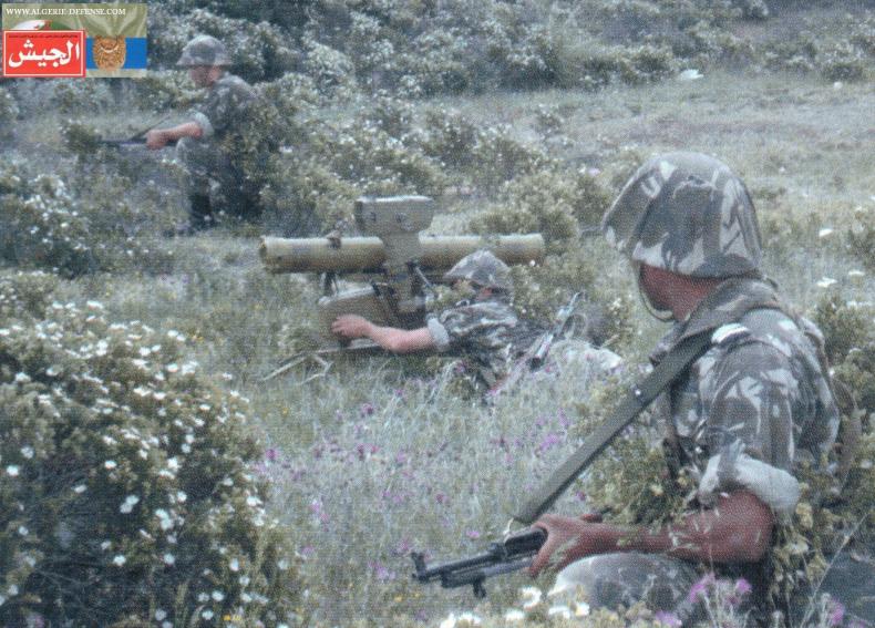 Algerian forces eliminate two terrorists east of Algiers