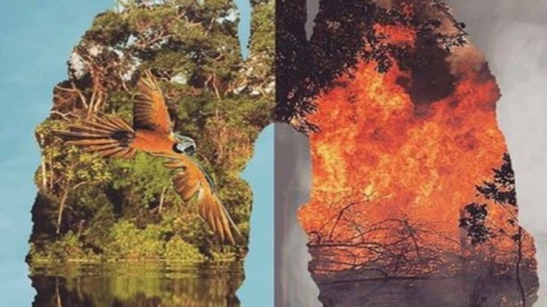 البرازيل تحظر إشعال النار في الهواء الطلق لمدة 60 يوما