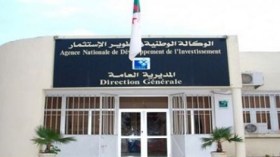 151 ألف وظيفة ضمن 9904 مشروع استثماري