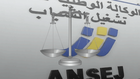تشغيل الشباب: لا متابعات قضائية بحق الشركات المتعثرة
