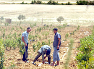 State support for young Algerian promoters beefed up by new incentive measures