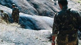 Algerian forces kill 41 terrorists in less than two months