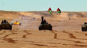 الكركرات.. الشجرة والغابة