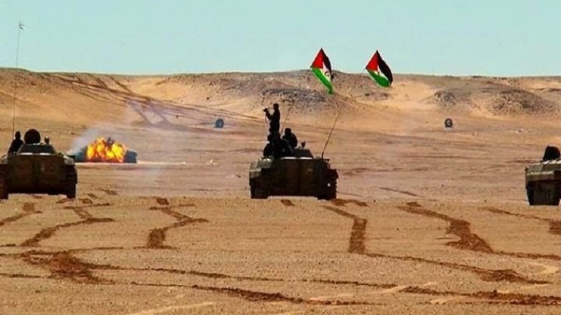 الكركرات.. الشجرة والغابة