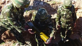 الجزائر: تدمير 159110 لغما مضادا للأفراد منذ 2004
