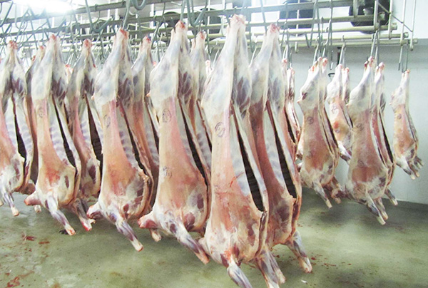 Halal meat to be imported from 5 countries to break prices in Ramadan