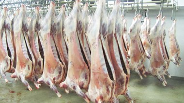 Ramadhan-2015: importer de la viande fraîche pour casser les prix