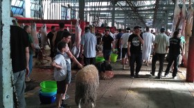 غلق مذبح الرويسو مع نهاية السنة الجارية