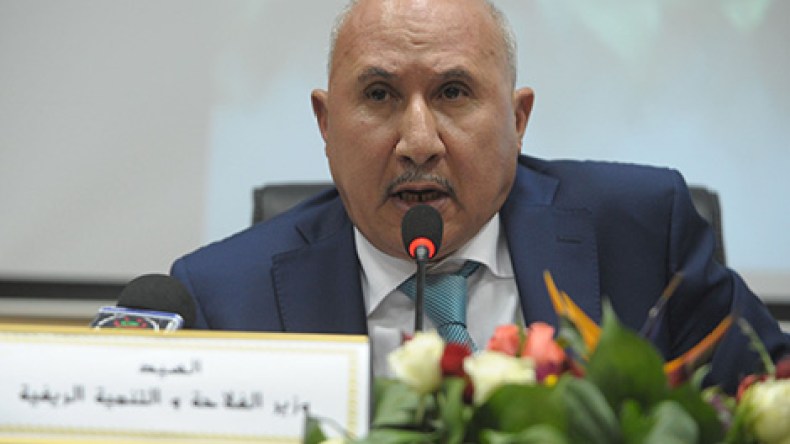 الخبرة البولونية لإنتاج البطاطا والحليب