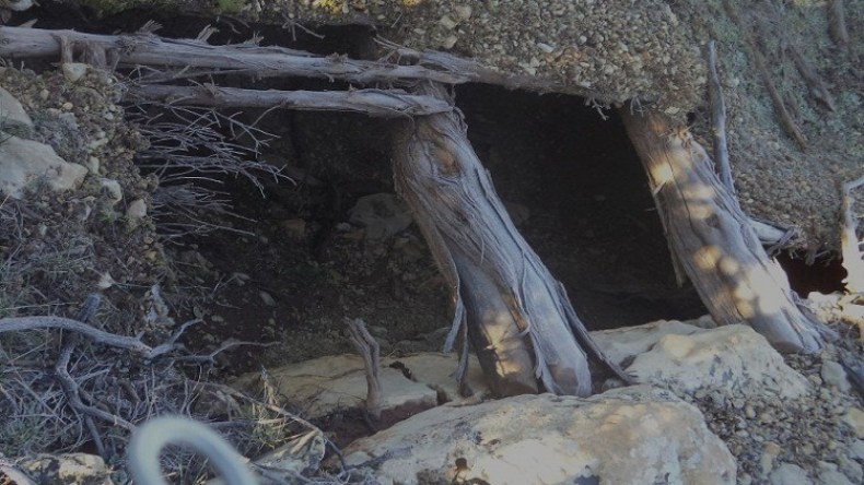 تدمير ثلاثة مخابئ للإرهابيين بباتنة