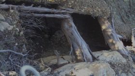 Aïn Defla/Tipaza: Casemates pour terroristes détruites