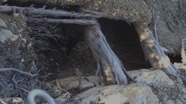 Aïn Defla/Tipaza: Casemates pour terroristes détruites