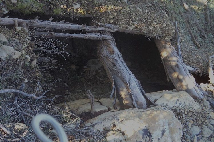 Aïn Defla/Tipaza: Casemates pour terroristes détruites