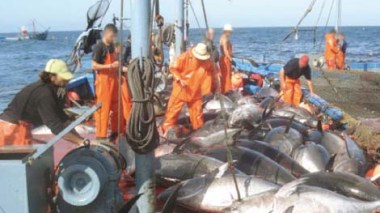 Raul Romega: “L’accord de pêche entre le Maroc et l’UE est illégal”