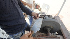 عيد الأضحى.. مناسبة ثراء للرجال والنساء