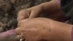 الكشمير الأفغاني صوف عالي الجودة!