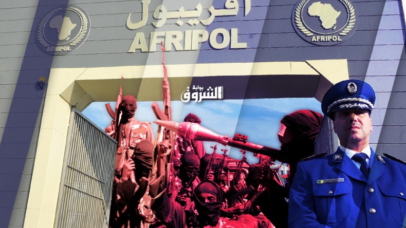 “خارطة طريق” لمكافحة الإجرام والإرهاب في دول إفريقيا