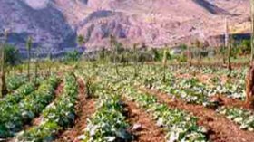 توقيف المحتال على الفلاحين بعزازڤة