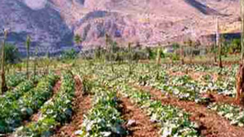 توقيف المحتال على الفلاحين بعزازڤة