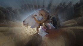 أضاحي العيد.. الحمى القلاعية تضيف حمى أخرى للأسعار!