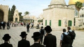 مستوطنون يقتحمون ساحات المسجد الأقصى