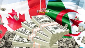 Who Transferred Algerians’ Hard Currencies To Canada At The Height of Popular Protest Movement?
