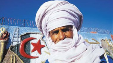 Algeria constitution  amendments