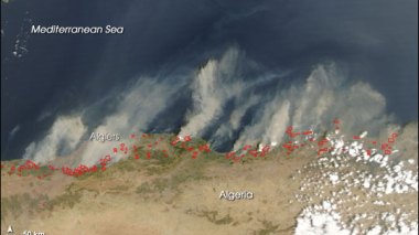 Thousands of Hectares Damaged due to Fires