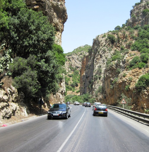 Algeria celebrates International Mountain Day
