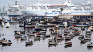 Anchorage period at Algiers Port decreased to 50% in 2010: Algeria avoids loss of quarter billion dollars per year