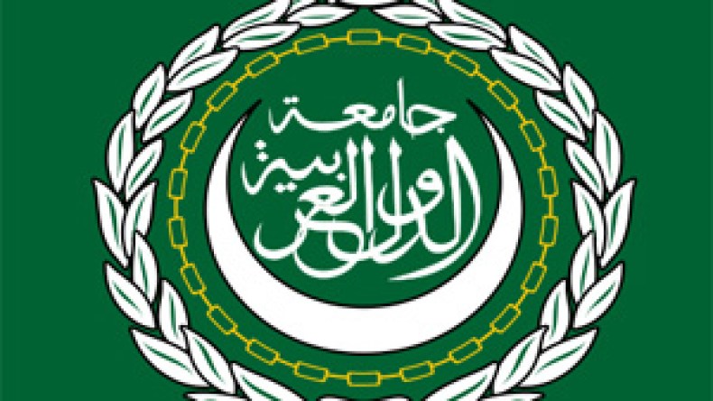 27 منظمة وهيئة عربية في القاهرة مقابل هيئة واحدة في الجزائر